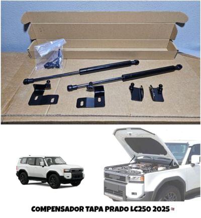 PISTON DE TAPA 25